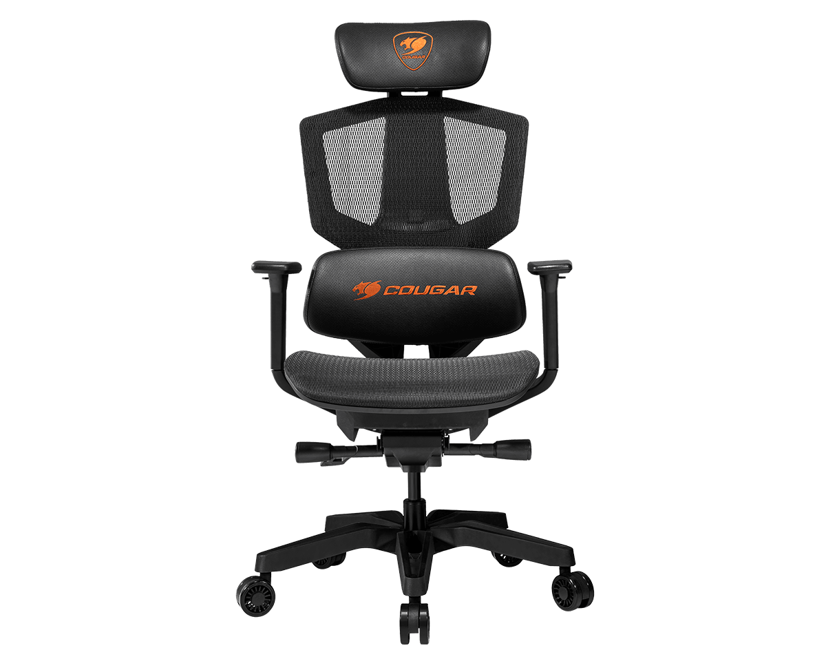 Argo chair sale